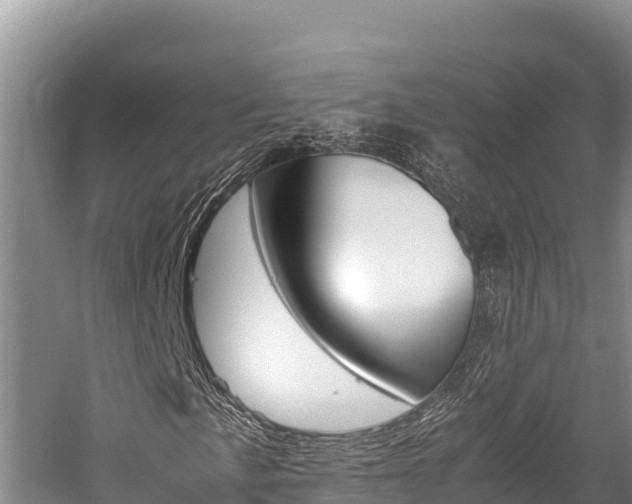 X0000059831057200510211016