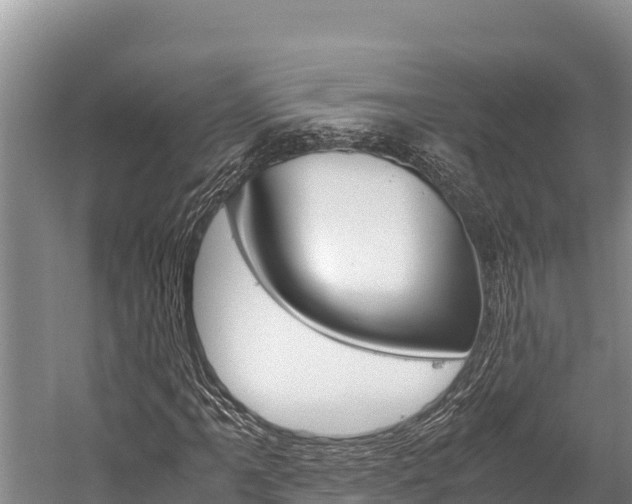 X0000059831061200510211016