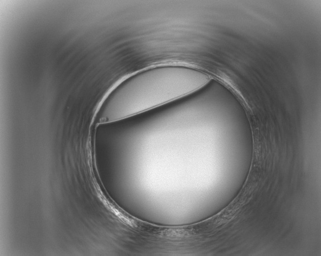 X0000059831092200510211015