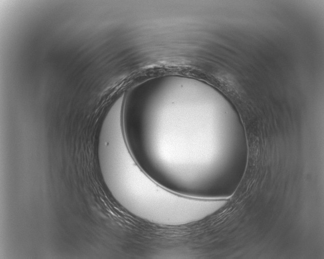 X0000059831110200510211014