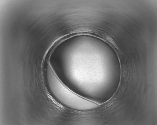 X0000059831116200510211014