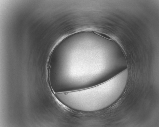 X0000059831151200510211015