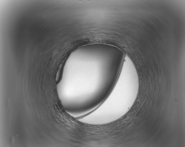 X0000059831153200510211014