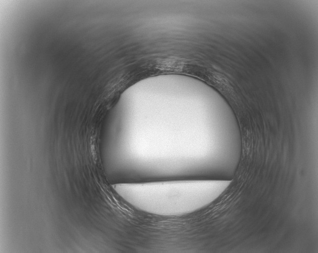 X0000059831154200510211014