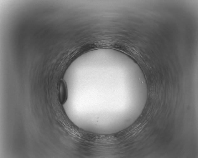 X0000059831201200510211013