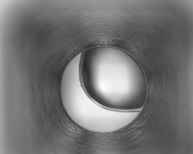 X0000059831202200510211013