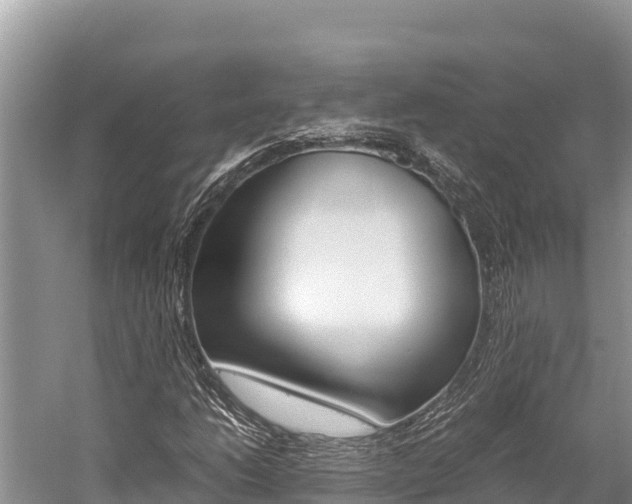 X0000059831206200510211013
