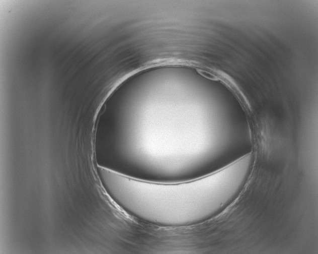 X0000059831244200510211013
