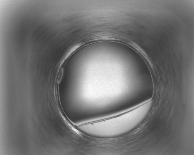 X0000059831293200510211012