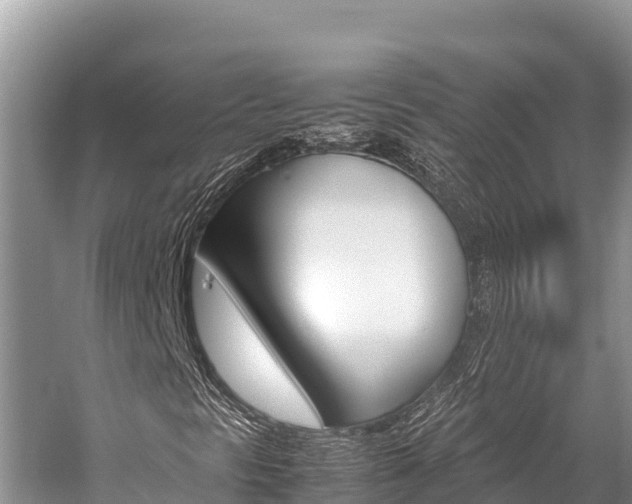 X0000059831297200510211011