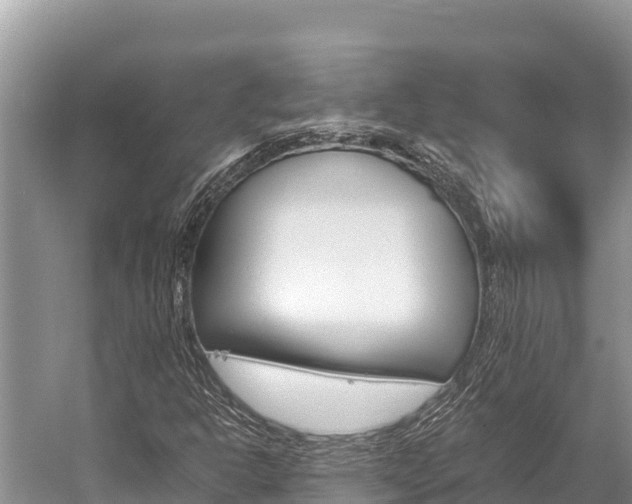 X0000059831302200510211011