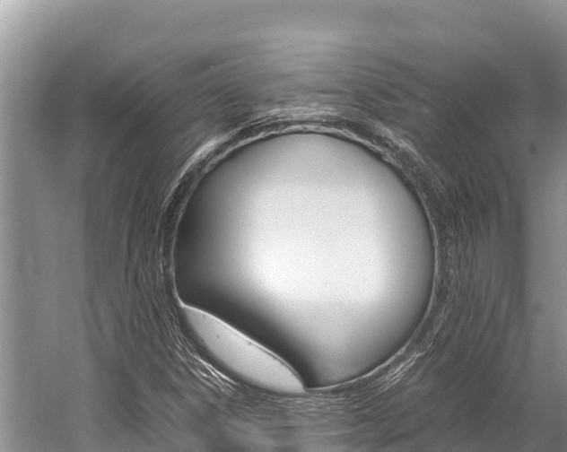 X0000059831306200510211011
