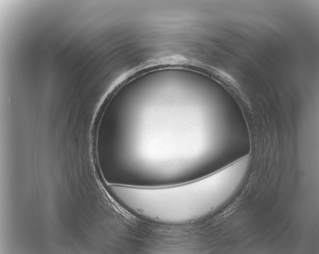 X0000059831326200510211012