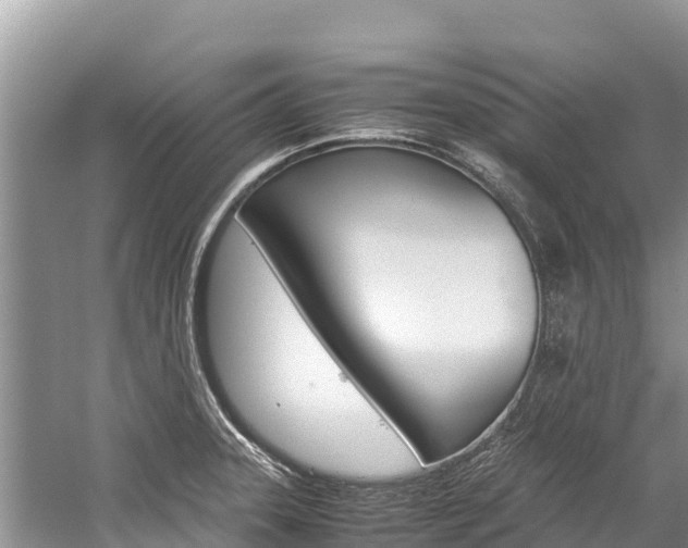 X0000059831331200510211012