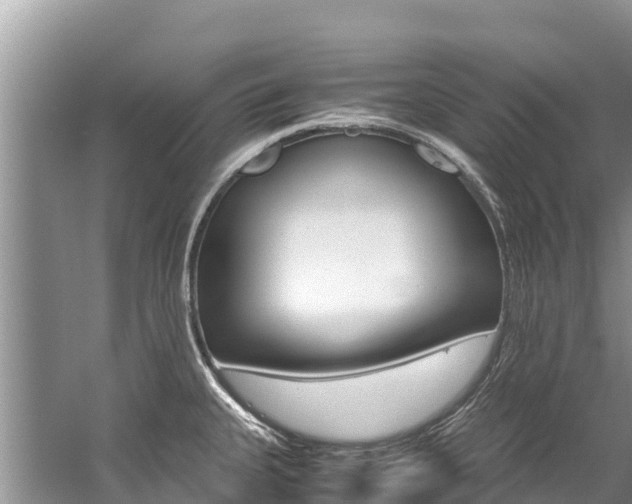 X0000059831335200510211012