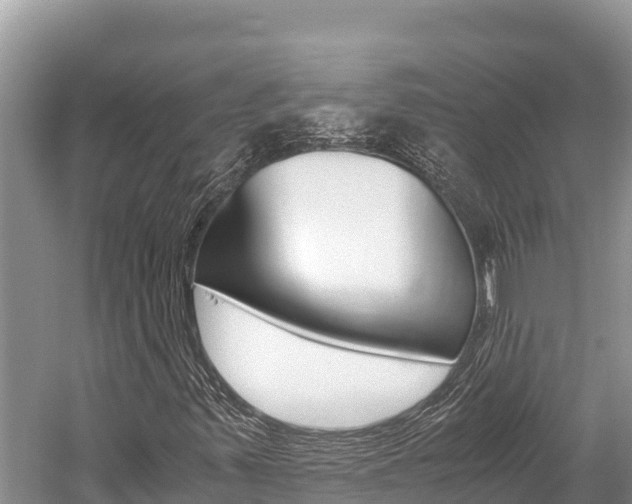 X0000059831347200510211011