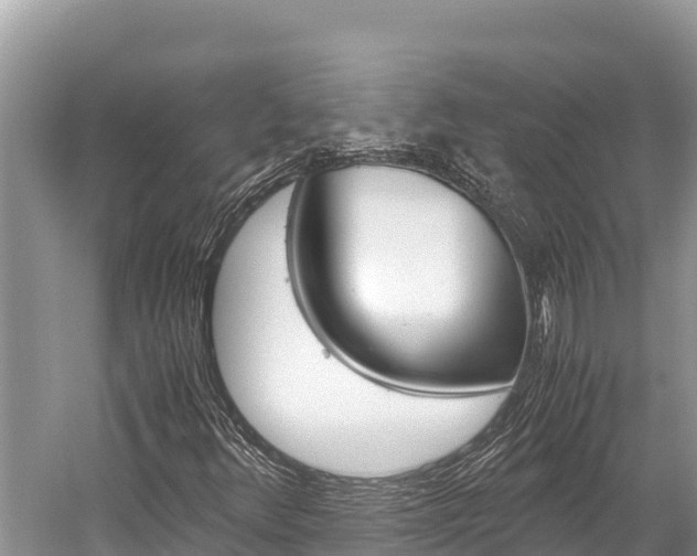 X0000059831348200510211011