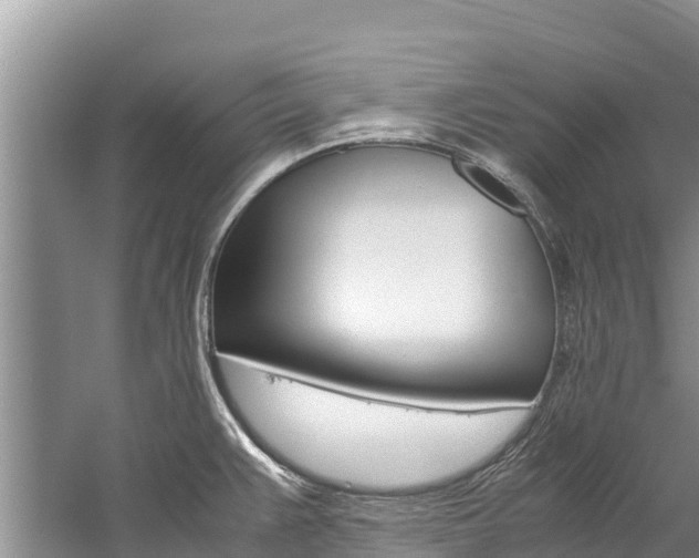 X0000059831383200510211010