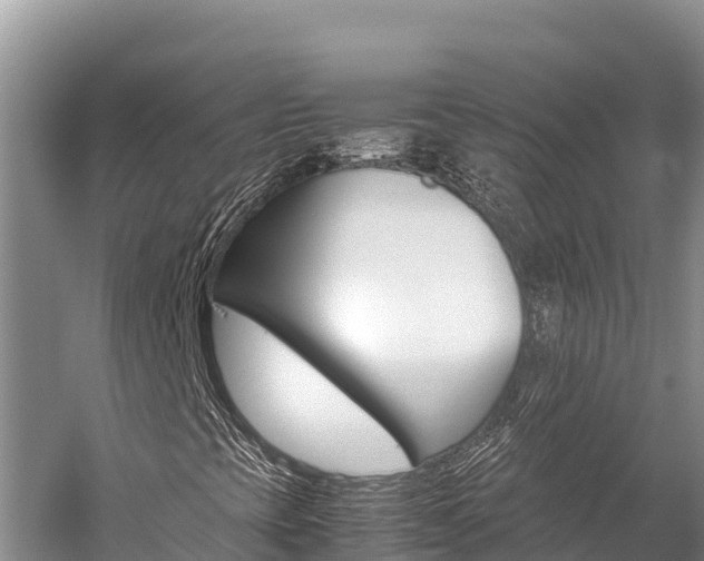 X0000059831393200510211009
