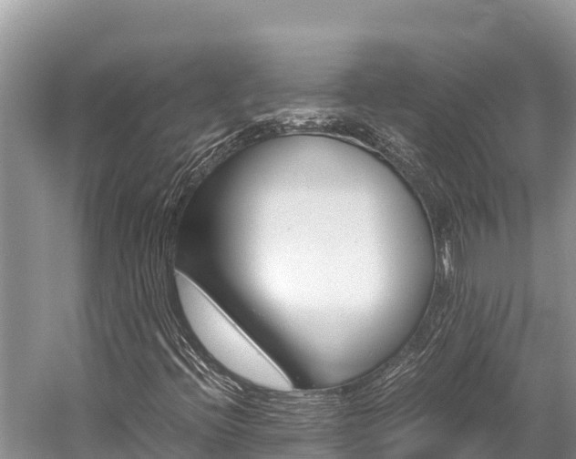 X0000059831396200510211009