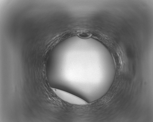 X0000059831397200510211009