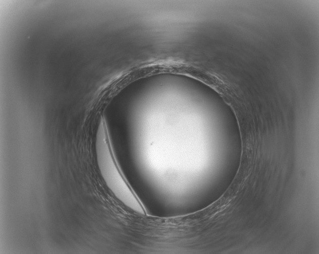 X0000059831398200510211009