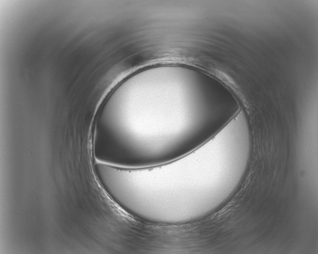 X0000059831428200510211010