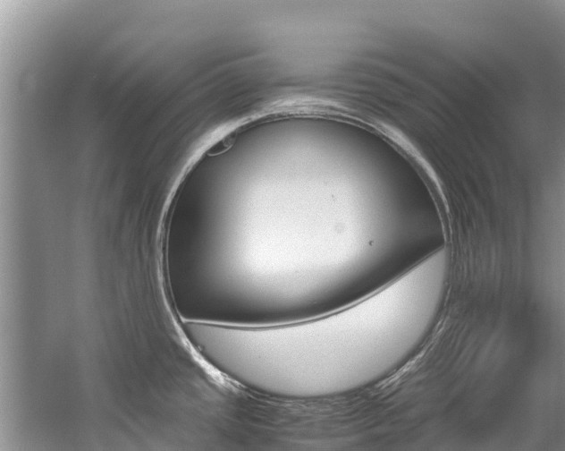 X0000059831437200510211010