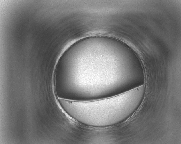 X0000059831440200510211010