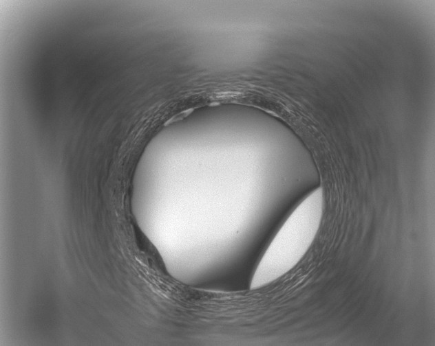 X0000059831441200510211009