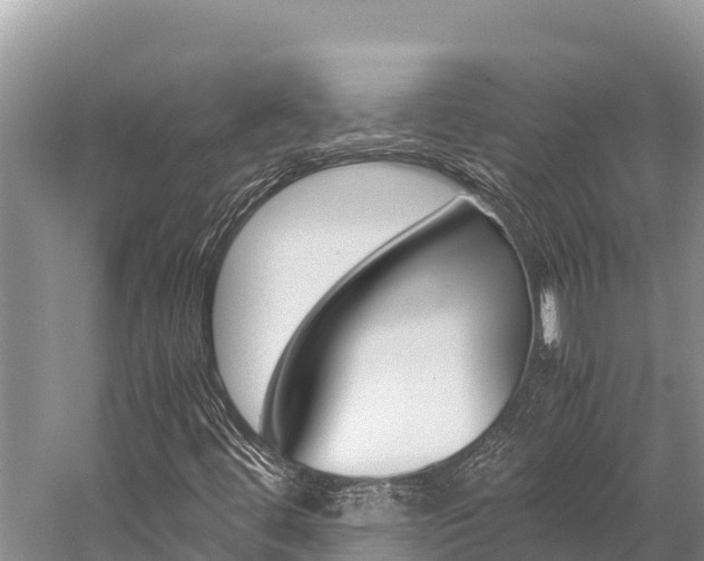 X0000059831444200510211009