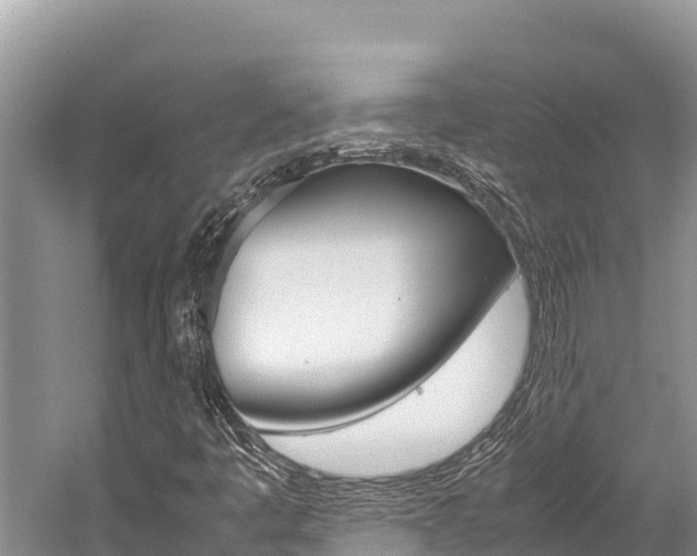 X0000059831445200510211009