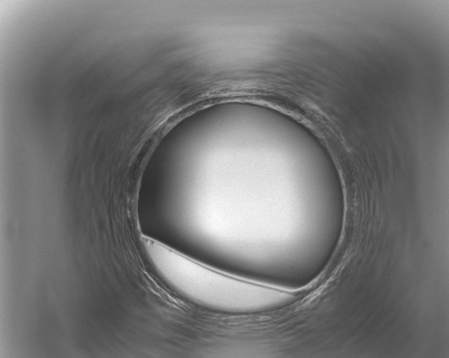 X0000059831449200510211009