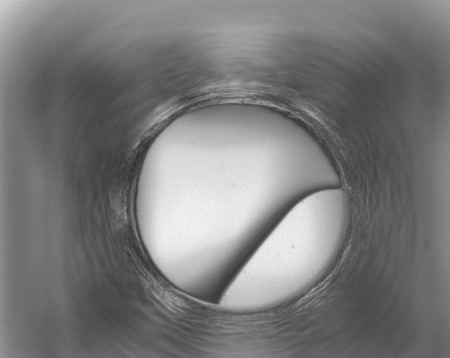 X0000059831451200510211009