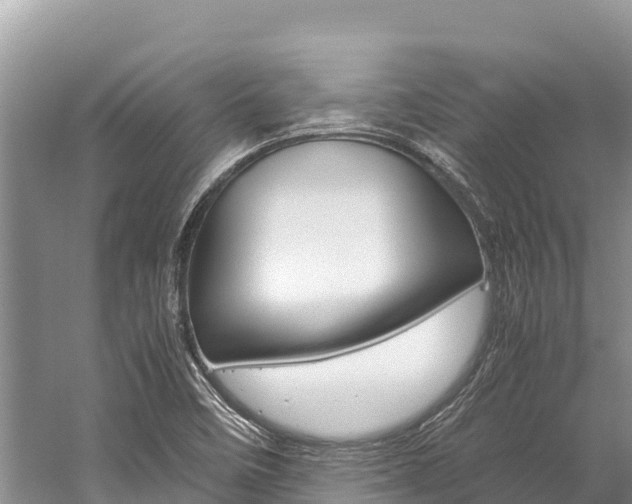 X0000059831458200510211009