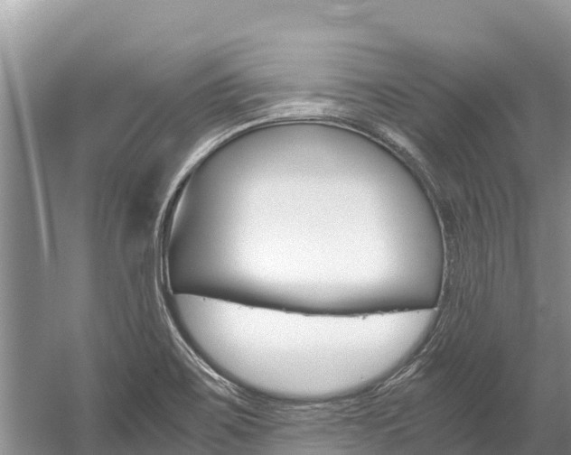 X0000059831467200510211009