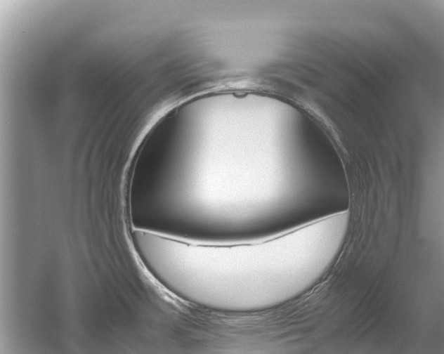 X0000059831483200510211008