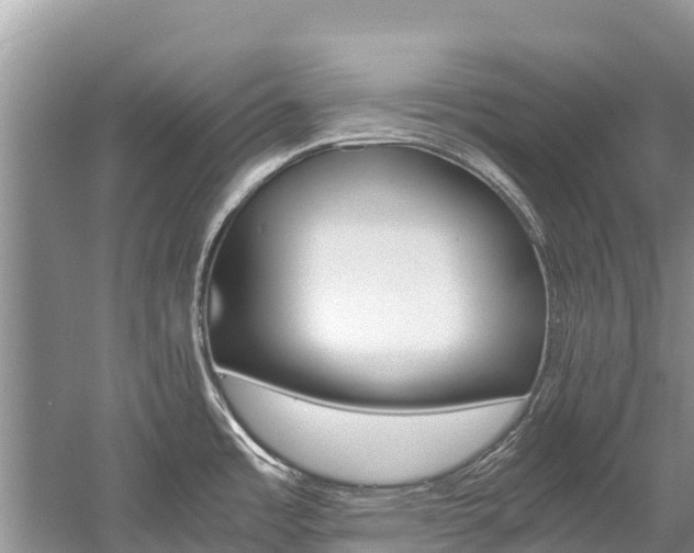 X0000059831485200510211008