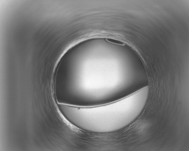 X0000059831531200510211008