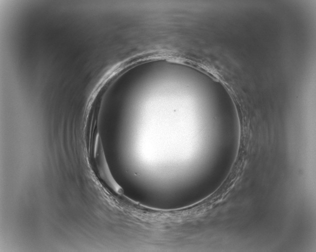 X0000059830007200510211225