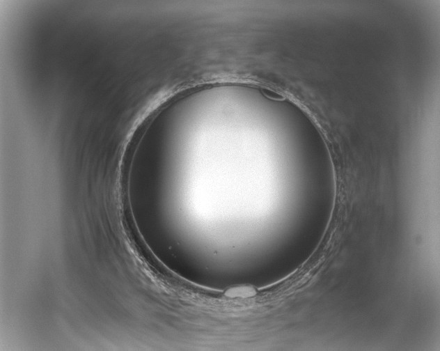 X0000059830008200510211225