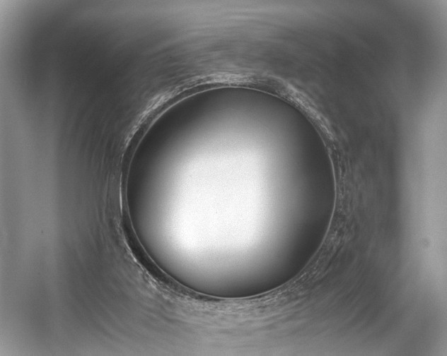 X0000059830011200510211225