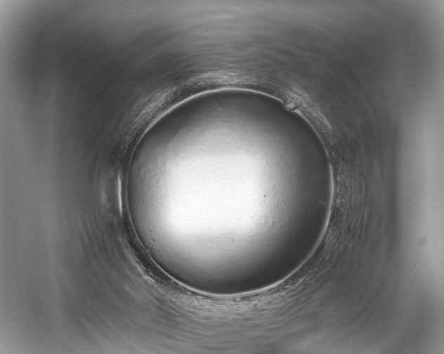 X0000059830014200510211225