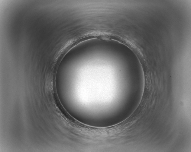 X0000059830015200510211225