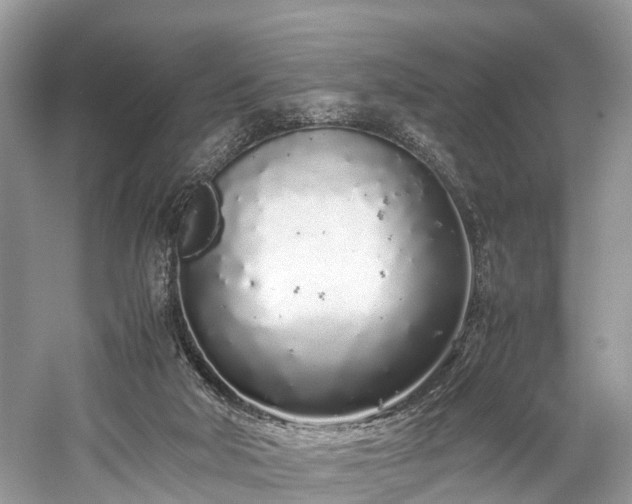 X0000059830018200510211225