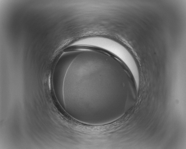 X0000059830019200510211225