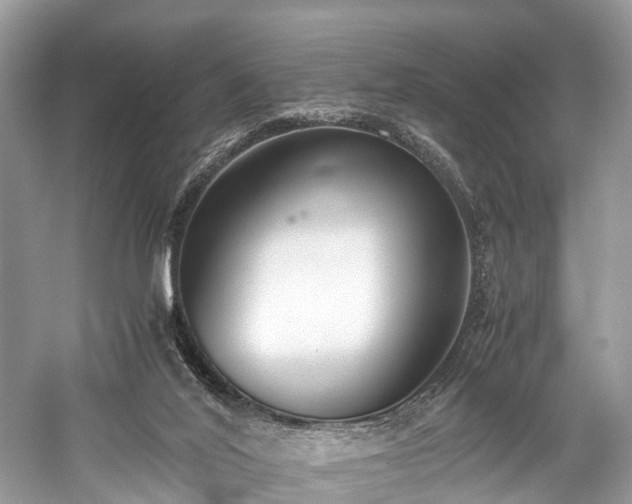 X0000059830020200510211225