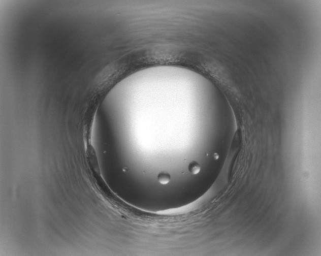 X0000059830021200510211225