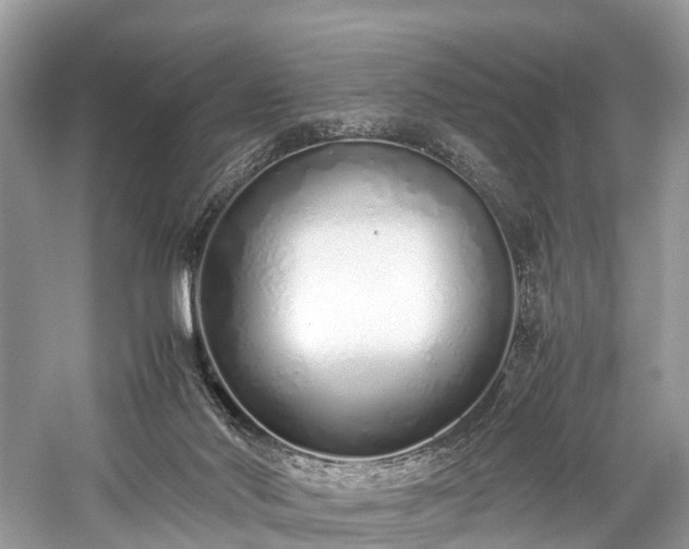 X0000059830022200510211225