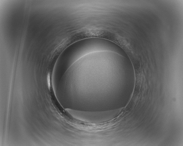 X0000059830027200510211225